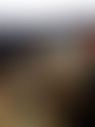 Moody's advierte "tiempo de incertidumbre" financiera por reforma judicial en México