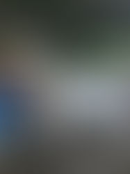 Buscan acercar a los ganaderos chiapanecos a seguros económicos  