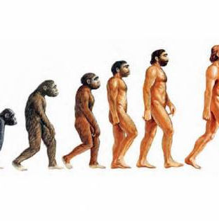 Descubren un nuevo antepasado de los seres humanos