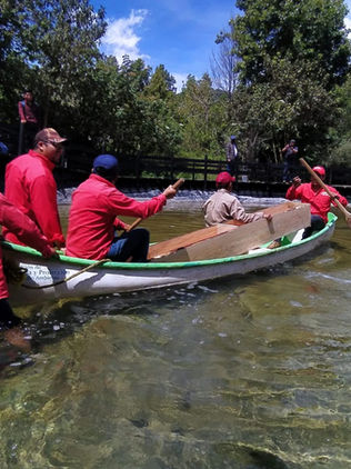 Liberan a popoyotes en San Cristóbal