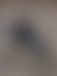 La CIA vigila con drones a los cárteles del narcotráfico de México