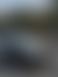 Reportan desaparición de una mujer estadounidense con sus dos hijos en Nuevo Léón