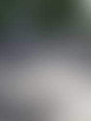 Ascienden a 20 los fallecidos por la avalancha en Colombia