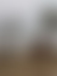 Orlene avanza sobre tierra como depresión tropical en el noroeste del país