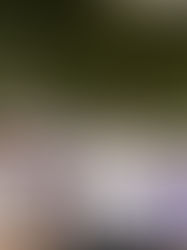 Ismael Brito rinde informe ante 5,000 chiapanecos