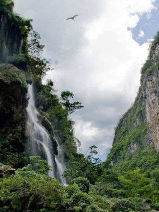 Regal Spring, EIZIA y Conanp suman esfuerzo para preservar El Ocote