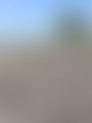 Sequías aumentarán la falta de alimentos en Chiapas