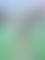 Con 50 grados Celsius, Sonora es de las regiones más calurosas del mundo