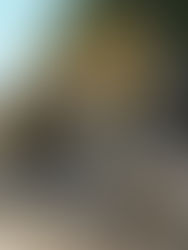 Se han invertido 29 mil 134 millones de pesos en obra pública en Chiapas 