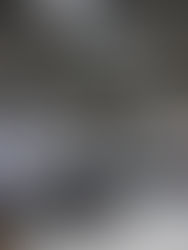 Los empresarios de Japón apuestan por la industria manufacturera en México