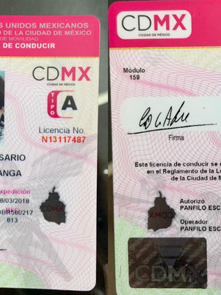 Falsa la licencia que llevó a Rosario Robles a prisión, acusa defensa