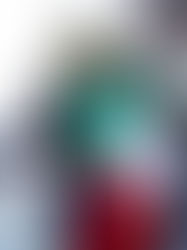 Red Bull tiene un deseo para el domingo