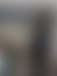 Nunca emitiré una orden que vulnere el orden constitucional y derechos humanos del pueblo: Sheinbaum