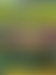 La Galería: "Confluencia" exposición fotográfica femenina