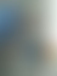 El robot social R5G2 despierta gran expectación