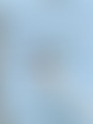 CFE pierde 25 mil 947 mdp por robo de luz