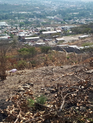 Se registra nueva invasión del MOCRI en Tuxtla