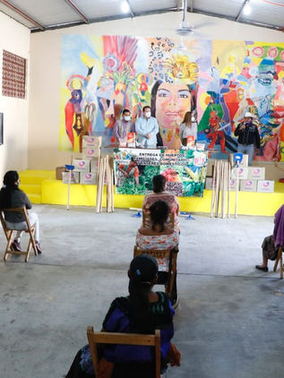 Gobierno Estatal y Municipal benefician a jefas de familia de Villaflores