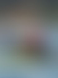 Lechuga en un gran año