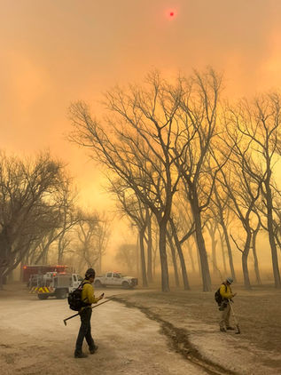 Más de 200.000 hectáreas son devastadas por incendios forestales en Texas 