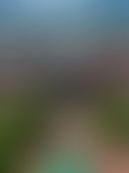 Congreso del Estado avanza en materia de transparencia y rendición de cuentas