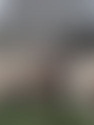 Migrantes abandonan puntos de cruce irregular en Juárez 