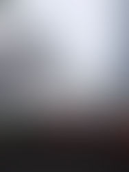 Tras elecciones, la bolsa mexicana se desploma 6,11 %