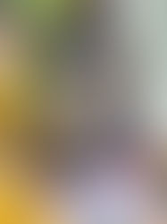 Gignac hasta el 2025