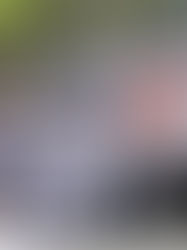 Ordenan juicio contra presunto involucrado en matanza de mormones