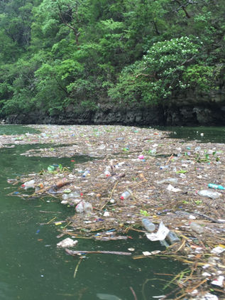 Al año, más de 2 mil toneladas de residuos son retiradas del río Grijalva
