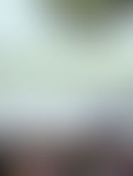 Reforma fue "el golpe final" para debilitar al Poder Judicial, señala informe