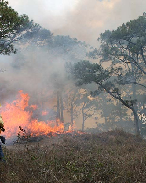 Se ha registrado 26 incendios forestales; hay 21 activos