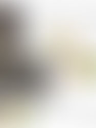 Una elefanta aprende por sí misma a pelar plátanos y rechaza los muy maduros