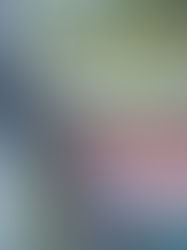 Florida anuncia nuevo centro de detención de inmigrantes