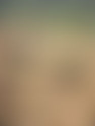 El Gobierno de Papúa reduce a 670 la estimación de personas enterradas por la avalancha