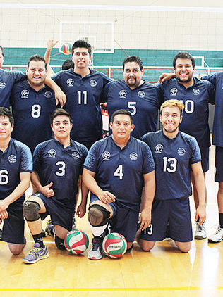 Se colocan en la tabla