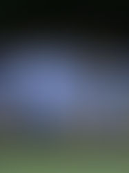 Penipak suma trofeo en Torneo Clinimed