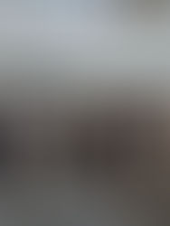 Hondureños, los que más trámites hacen como refugiados