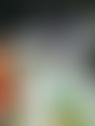 Reparten las medallas