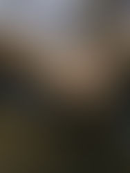 Detienen a segundo sospechoso de matar a líder indígena yaqui