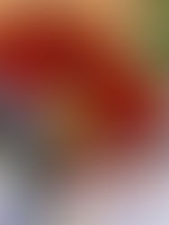 La Danza de las Candelarias, un ritual femenino que mantiene viva la devoción zoque en Chiapas