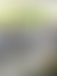 Asignan plazas de jornada vacantes a docentes del Cobach