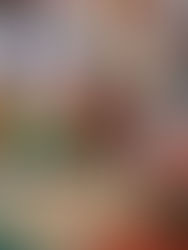 Gobierno y empresas se alían para frenar la elevada inflación en México