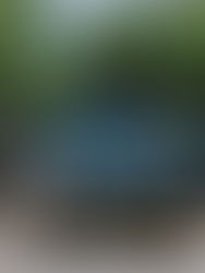 Hallan restos de 59 personas en fosas en Guanajuato