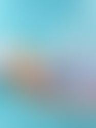 Es turno de los relevos patrios en El Delfín