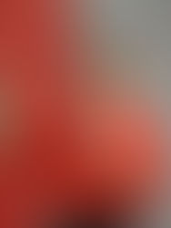 Líder del PRI asegura que aclarará denuncia por enriquecimiento