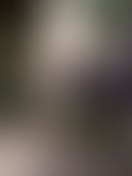 Las bandas aceptan una tregua para permitir la distribución de ayuda en Haití