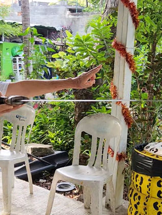 Roselia Chanona, la señora del tai Chi 