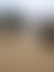 La ONU pedirá 160 millones de dólares para responder a las inundaciones en Pakistán