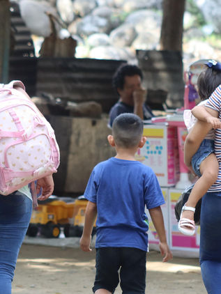 México repatriará a 42 menores hondureños que viajaban hacia EU no acompañados